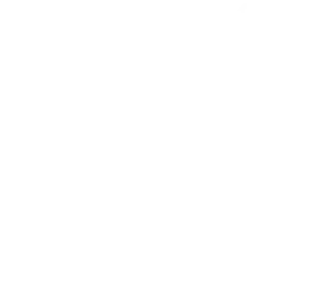 משק לין