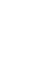 Liat Violin